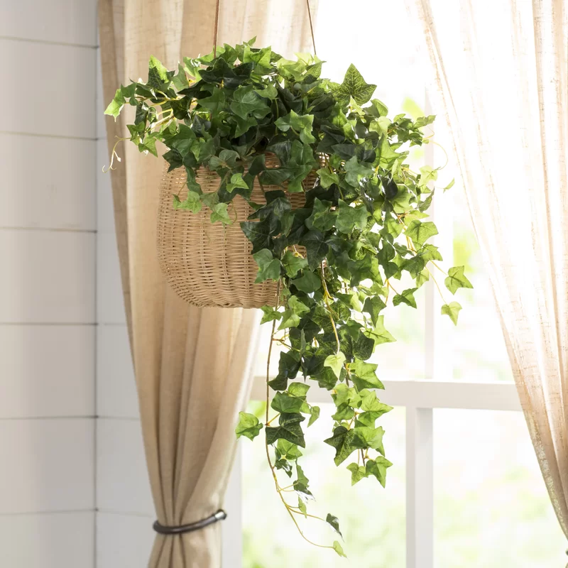 fake plants living room